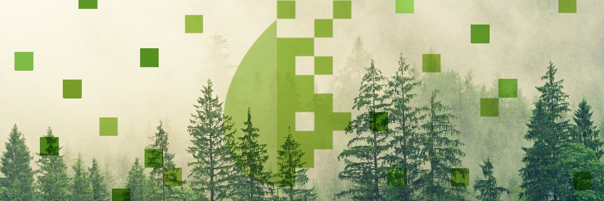 Bits & Bäume Blog