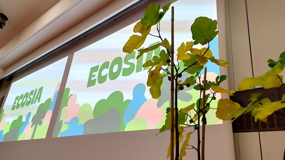 Ecosia-Gründer: "Tech-Milliardäre sind auf dem Natur-Auge blind"